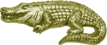 Crocodile