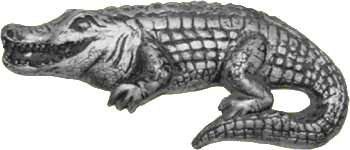 Croccodile