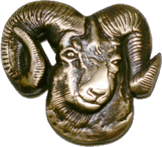 Ram