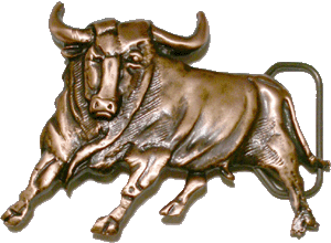 Real Toro