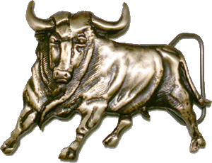 Real Toro
